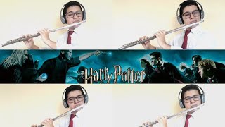 harry potter  hedwigs theme  Flauta transversal [upl. by Kcirdnekal]