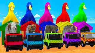 5 Giant Duck Cartoon Cow Elephant Monkey Hippo Tiger Transfiguration funny animal 2024 [upl. by Ausoj]