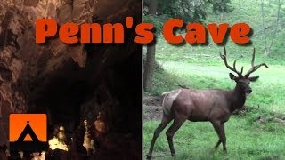 Penns Cave amp Wildlife Park Video Tour  Centre Hall PA [upl. by Faso231]