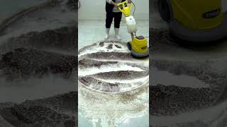 Carpet Cleaning EXPERT Shares Top Secrets [upl. by Otsugua60]