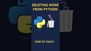 Deallocating None from Pythons runtime python pythonprogramming coding bug programming [upl. by Acinonrev]