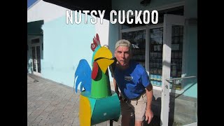 Nutsy Cuckoo Music Video [upl. by Lebatsirhc]