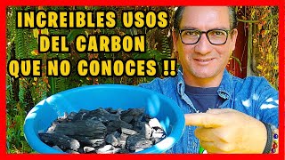 Increíbles BENEFICIOS DEL CARBON para todas las plantas del jardín y el huerto  Gio de la Rosa [upl. by Mayhs]