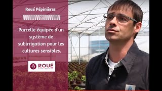 Parcelle subiriguée  quels sont les avantages  Les réponses par Olivier Roué [upl. by Easton250]