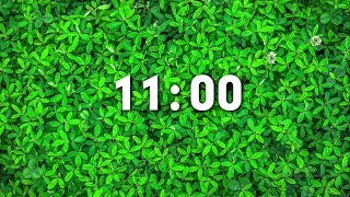 Countdown Timer  11 Minutes [upl. by Ttam]