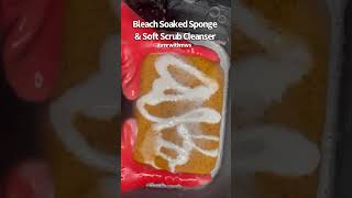 Bleach Soaked Sponge 🧽 amp Soft Scrub Cleanser🫧  asmrwithmws 🤤 [upl. by Neve]