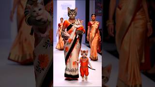 Cats Family Fashion Show 😻💫💃 cat baby shorts trending [upl. by Aciruam206]