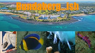 Bundaberg  diving Burkitts Reef and Barolin Rocks [upl. by Lletram]