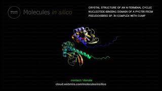 Molecules in silico ･ CRYSTAL STRUCTURE OF AN NTERMINAL CYCLIC NUCLEOTIDEBINDING DOMAIN OF A PYC [upl. by Luciano]