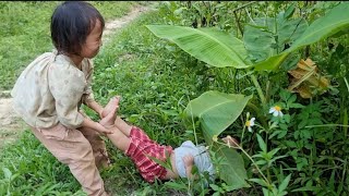 landslide tree fell near the house sister picked fruit to sell bodonthan123 [upl. by Puiia864]