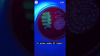 Pseudomonas aeruginosa pigments under UV [upl. by Neenahs]