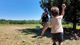 FIRST TIME APPLE PICKING  The Blumers  Vlog 3 [upl. by Frieda]