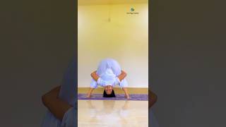 Yoga asana shortvideo yogapose urmiyogaacademy shorts youtubeshorts ytshorts headstand [upl. by Farika]