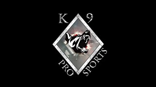 Is your dog street ready Heres how you know K9Pro Sports scenarios [upl. by Fannie359]