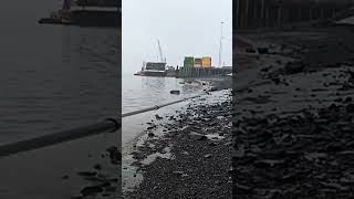 first snow in dillingham alaska alasnature [upl. by Anitteb73]