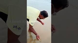 Beach Worms fishing shorts youtubeshorts ytshorts [upl. by Noerb916]