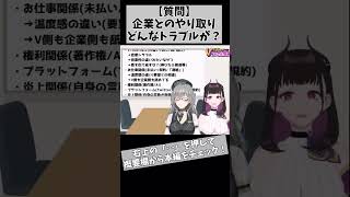 【企業とVTuberのトラブル例】実際にあった怖い話…お互いリスペクトって大事よね vtuber shorts 915 [upl. by Nunnery441]