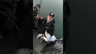 Catching Herring fishing herring oregon trending [upl. by Avilys]