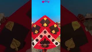 Patang Uda Re  New Makar Sankranti Song 2024  Rajasthani Dance Song  Kite veenamusic patang [upl. by Nytsirhc]