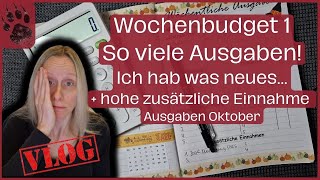 SPAREN Wochenabschluss 1 Oktoberbudget 😱 NEUES TEURER Start umschlagmethode budgetplanung vlog [upl. by Aernda396]