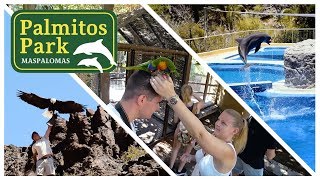 Palmitos Park  Maspalomas Gran Canaria 2018 [upl. by Jen560]