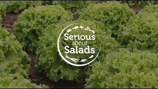 Serious About Salads  Elsoms [upl. by Ribak]