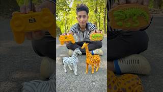 Rc Horse and Remote Control Giraffe Unboxing🔥🦒 [upl. by Ymerrej]