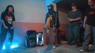 Twinn Street Bully VS Hybrd  House Of Raw Costa Rica [upl. by Jennica]