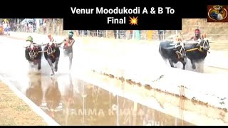 Kakyapadavu Kambala Semi Final Top race VMGNP vs Mijar  Nandalike  kambala shorts [upl. by Lakin]