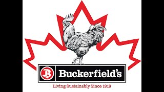 The History of Buckerfields [upl. by Concettina]