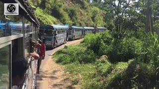 All beautiful buses sri lanka [upl. by Joel]