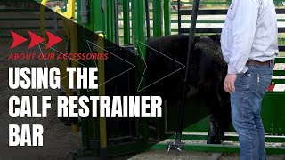 Trim Brand and Band Cattle Safer amp Easier  Cattle Chute Calf Restrainer Bar  Showcase [upl. by Etyam]