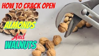 HOW TO CRACK OPEN WALNUTS AND ALMONDS ASMR walnuts almonds viral trends viralvideos [upl. by Zetniuq]