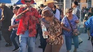 el medallon la Franja Fronteriza de ciudad Juárez [upl. by Colis333]