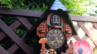 Stunning Acctim Cuckoo clock [upl. by Eiddal77]