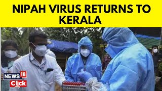 Nipah Virus News  Kerala Faces Another Nipah Virus Outbreak  Kerala News  Nipah Outbreak  N18V [upl. by Elam]