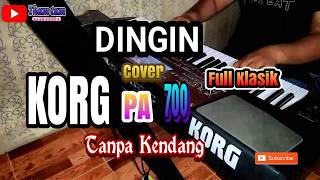 DINGIN KARAOKE Cover TANPA KENDANG [upl. by Mikes]