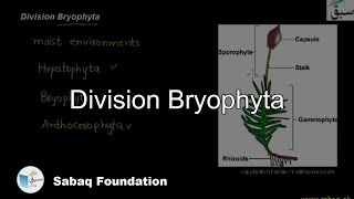 Division Bryophyta Biology Lecture  Sabaqpk [upl. by Inattirb]