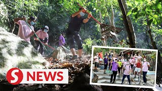 Trekkers spruce up trail of Penang hills [upl. by Sherwynd]