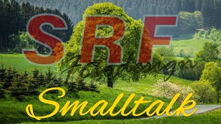 SRF Smalltalk 10  Der Kampf mit der Webcam [upl. by Eerpud20]