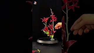 flower top design part 2flowerarrangement flowermaking flowers [upl. by Noiramed439]