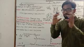 Part 1  Admixture in concrete  Plasticizer  Super plasticizer  Admixture lecture [upl. by Aloke24]