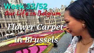 Week 3352 Flower Carpet amp Museums in Brussels 2024  Our Life in Belgium 🇧🇪 [upl. by Kimberli75]