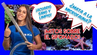 SIFONAR EL ACUARIO MARINO 🐠 ¿debemos hacerlo  MITOS Y VERDADES [upl. by Marlane495]