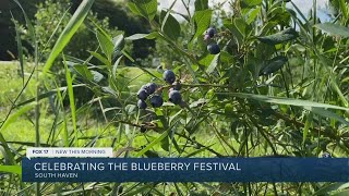 Celebrating the National Blueberry Festival in South Haven [upl. by Alit28]