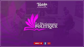 LE DICTIONNAIRE POLITIQUE Comment envisager la crise actuelle [upl. by Leelaj]