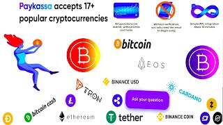 Paykassa accepts 17 popular cryptocurrencies [upl. by Merv]