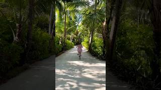 Intercontinental Maldives 🇲🇻 maldives ocean travel relax nature vacation [upl. by Ahso633]