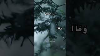 Surah Tariq سورۃ الطارق quran quranrecitation quranverses qurantilawat youtubeshort allah [upl. by Nolrah]