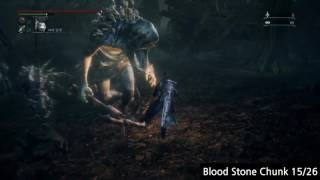 BloodBorne All Blood Stone Chunk Locations at DLC Start from Lamps [upl. by Ahsiuqet756]